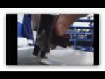 Vincador de poliester+ os videos sumiram+indexação de videos