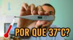 Por que a temperatura do corpo é 37ºC?
