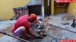 Poço artesiano, retirar o cano do poço