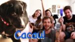 ADESTRANDO a CACAU, nossa mascote! ft. Quatro Patas | TPM, pra que te quero?