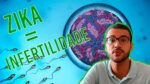 Zika vírus pode causar infertilidade?