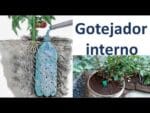 Como fazer gotejador interno e manter suas plantas sempre lindas!