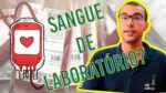 É possível produzir sangue em laboratório?