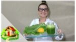 SUCO DE COUVE CURA GASTRITE – AMENIZA DORES DA FIBROMIALGIA – E DESINTOXICA O ORGANISMO