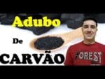 Carvão, Saiba como usar na sua horta e fazer um Super adubo
