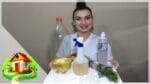 REMÉDIO CASEIRO QUE ELIMINA PULGAS E CARRAPATOS-CULINÁRIA EM CASA