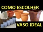 Qual o melhor Vaso: de Plástico, Cimento ou de Cerâmica? Saiba como escolher!