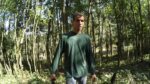 Sitio, Limpando, roçando na floresta, preparando para plantar