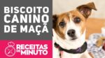 BISCOITO CANINO DE MAÇÃ – Receitas de Minuto EXPRESS #269