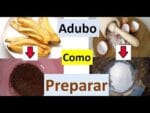 Como preparar cascas de ovo e de banana para o adubo!