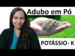 Adubo em pó, feito com cascas de beterraba ( passo a passo)