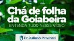 Chá de folha da Goiabeira