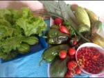 Colheita da nossa Horta em Casa 07-12-2017