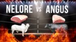 Picanha Nelore vs Angus (Partic. Alysson e Adysson The Voice Brasil) I Churrasqueadas
