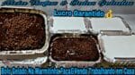 Bolo Gelado De Brigadeiro Na Marmitinha FaçaEVenda Trabalhando em Casa.