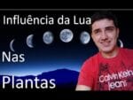 Calendário Lunar, Na Horta Saiba o melhor momento de plantar e colher, Influência da lua nas plantas