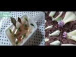 Como fazer mudas de suculentas mais rápido (folhas), na estufa de canela!