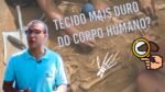 O sexo de um esqueleto a partir do tecido mais duro do corpo humano!