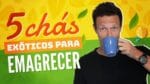 5 Chás EXÓTICOS Para EMAGRECER (meus favoritos)