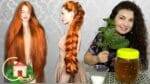 CABELO GIGANTE EM 1 MÊS – ACABE COM A QUEDA DE CABELO – Culinária em Casa