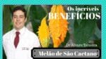 Melão de São Caetano, reduz os tumores cancerígenos – Dr Álvaro Teixeira Explica!