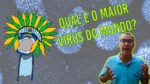QUAL É O MAIOR VÍRUS DO MUNDO?