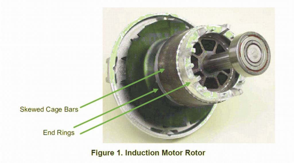 rotor de indução