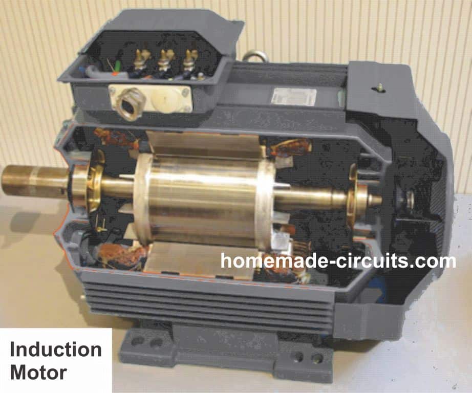 seção transversal do motor de indução, mostrando a bobina do estator, eixo do rotor