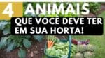 4 Animais que você deve ter em sua Horta