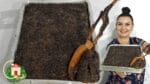 BOLO DE CHOCOLATE RÁPIDO E PRÁTICO DA CRIS BOLO DE COLHER 30 milhões