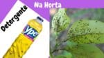 Detergente, acaba com pulgão, cochonilha, fungos e muitas outras pragas da sua horta