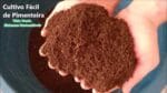 AULA 1 Curso Como Cultivar Pimentas em Vaso (VÍDEO LONGO)