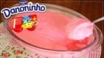 MELHOR DANONINHO CASEIRO DO MUNDO