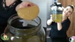 RECEBI MEU KOMBUCHA- O QUE FAZER?