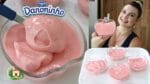 DANONINHO CASEIRO CASEIRO FEITO COM TANG – FICA DELICIOSO