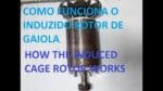 Como funciona o induzido rotor de gaiola – How the induced cage rotor works