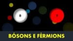 BÓSONS E FÉRMIONS