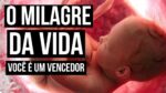 O MILAGRE DA VIDA VOCÊ NASCEU PARA VENCER ( REFLEXÃO )