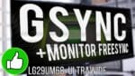 Testei o GSYNC em um monitor Freesync e FUNCIONOU! … (LG 29UM68 Ultrawide + RTX 2060)