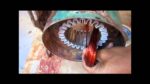 Bomba d*água 1 Cv trifásica Parte 2
