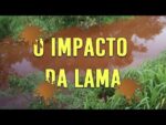 Rio Paraopeba após rompimento da barragem em Brumadinho – Análise dos laudos
