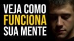 VEJA COMO AS COISAS REALMENTE FUNCIONAM | Nando Pinheiro