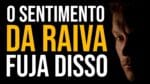 VEJA PORQUE A RAIVA É UM VENENO! | Nando Pinheiro