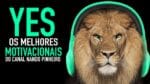 OS MELHORES VIDEOS MOTIVACIONAIS NANDO PINHEIRO