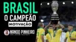 MOTIVAÇÃO PARA OS CAMPEÕES – SELEÇÃO BRASILEIRA DE FUTEBOL
