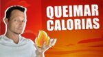 O QUE QUEIMA MAIS CALORIAS? EM QUE ORDEM? Carboidratos, proteínas, gorduras e álcool