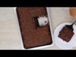 BOLO PRESTIGIO FEITO NO LIQUIDIFICADOR DESCOBRI A MELHOR RECEITA