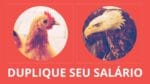 Duplique seu salário entendendo a diferença entre a águia e a galinha