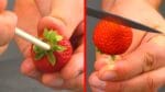 6 truques incrivelmente simples que deixam os morangos mais chamativos