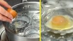 Coloque 3 potes em água quente e adicione ovos, ficará delicioso!